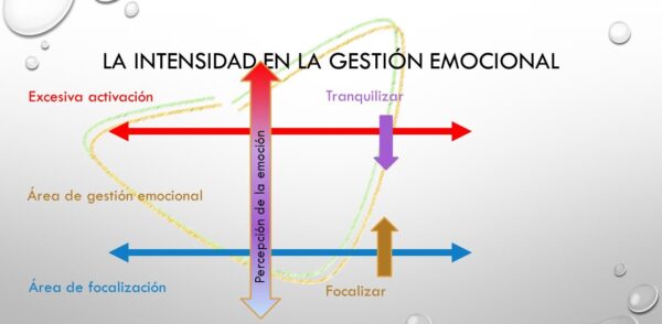 cómo reconcoer y comprender las emociones
