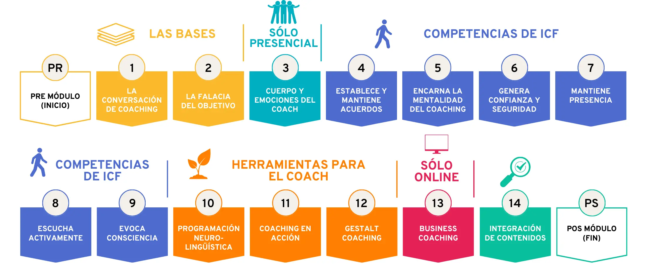 Programa del Curso de Coaching en Chile