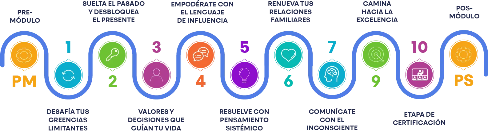 Programa Master en PNL Online