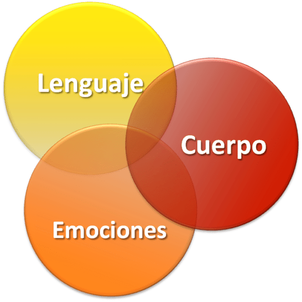 coherencia emoción cuerpo lenguaje coaching ejemplos de IAFI
